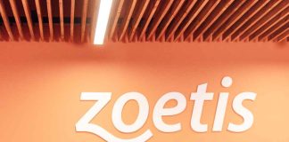 Mariana Cestau asume liderazgo regional de Zoetis Chile y Perú