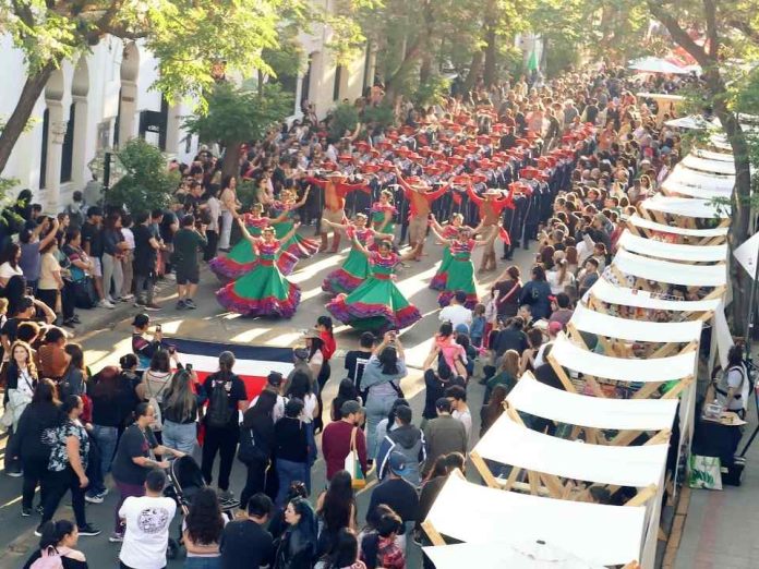 Mercado Colores de Yungay II: panorama imperdible para este fin de semana