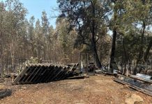 Ministerio de Economía inicia levantamiento de información para activar instrumentos de reconstrucción productiva en regiones afectadas por incendios forestales