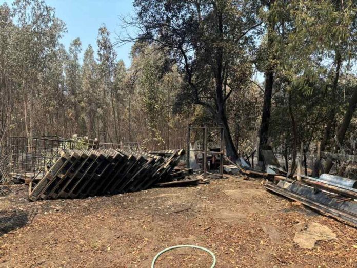 Ministerio de Economía inicia levantamiento de información para activar instrumentos de reconstrucción productiva en regiones afectadas por incendios forestales Ministerio de Economía inicia levantamiento de información para activar instrumentos de reconstrucción productiva en regiones afectadas por incendios forestales