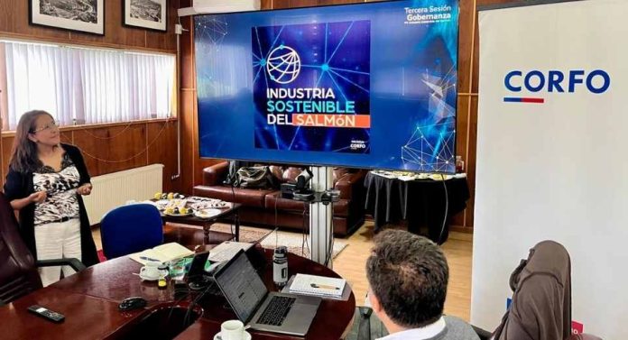 PTI Industria Sostenible del Salmón avanza con resultados concretos y proyecta Plataforma Pública de Proveedores 