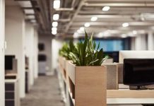 Riesgo digital en verano ¿por qué las empresas quedan más expuestas a ciberataques en vacaciones