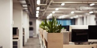 Riesgo digital en verano ¿por qué las empresas quedan más expuestas a ciberataques en vacaciones