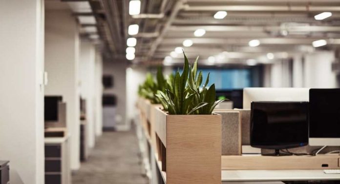 Riesgo digital en verano ¿por qué las empresas quedan más expuestas a ciberataques en vacaciones