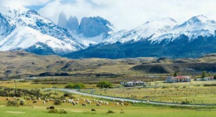 SEA informa adecuaciones por modificaciones al reglamento del SEIA