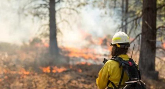 SEA suspende evaluación de 5 proyectos por emergencia en región del Biobío