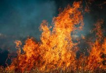 SII activa beneficios tributarios especiales para personas y empresas de zonas afectadas por incendios 