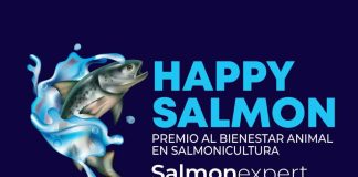 Salmonexpert abre convocatoria de postulación a premio Happy Salmon que será entregado en Aquasur 2026