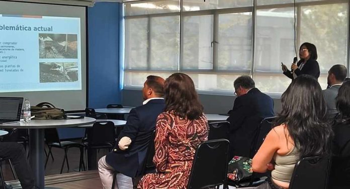 Sernageomin aborda transición energética y legado del carbón en la UdeC