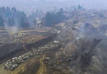 Expertos urgen criterios de diseño especiales en “áreas potenciales de incendios” en planificación urbana e involucrar a la ciudadanía áreas potenciales de incendios