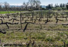 Chilena es reconocida por 3M entre las “25 Mujeres en la Ciencia Latinoamérica 2026” Cofundadora de la startup chilena Idea-Tec es reconocida como una de las “25 Mujeres en la Ciencia Latinoamérica 2026” por 3M