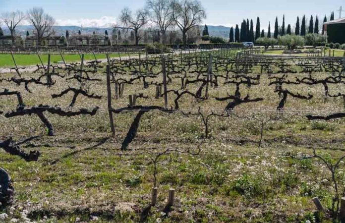 Cofundadora de la startup chilena Idea-Tec es reconocida como una de las “25 Mujeres en la Ciencia Latinoamérica 2026” por 3M