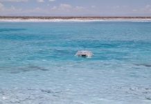 CIMS IMPULSA INNOVACIÓN TECNOLÓGICA PARA FORTALECER LA GESTIÓN HÍDRICA EN MINERÍA CIMS IMPULSA INNOVACIÓN TECNOLÓGICA PARA FORTALECER LA GESTIÓN HÍDRICA EN MINERÍA