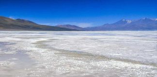 CODELCO Y QUIBORAX CREARON JOINT VENTURE PARA EXPLOTAR EL LITIO EN EL SALAR DE ASCOTÁN