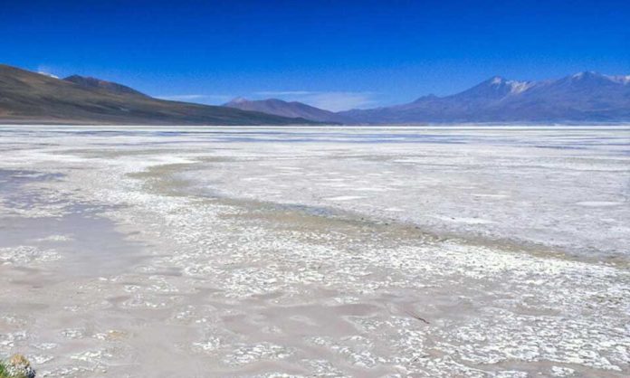 CODELCO Y QUIBORAX CREARON JOINT VENTURE PARA EXPLOTAR EL LITIO EN EL SALAR DE ASCOTÁN