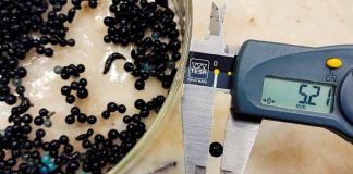 Científicos argentinos desarrollan un material innovador para remover arsénico, patógenos y otros contaminantes del agua