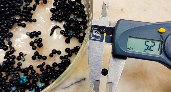 Científicos argentinos desarrollan un material innovador para remover arsénico, patógenos y otros contaminantes del agua