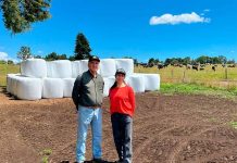 Circularidad en la cadena láctea: Proyecto piloto impulsa el reciclaje de plásticos en el rubro lechero