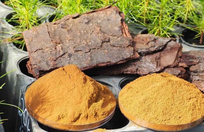 Convocatoria internacional de CMPC y HUBTEC premia a seis ganadores en desafío de innovación con lignina kraft Convocatoria internacional de CMPC y HUBTEC premia a seis ganadores en desafío de innovación con lignina kraft