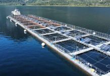 Copec, Luxmeter y Ventisqueros impulsan proyecto pionero de energía renovable para la industria salmonera