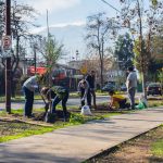 Fundación Reforestemos lanza guía con ocho principios para reducir las Islas de Calor Urbanas Fundación Reforestemos lanza guía con ocho principios para reducir las Islas de Calor Urbanas