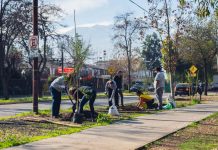 Fundación Reforestemos lanza guía con ocho principios para reducir las Islas de Calor Urbanas Fundación Reforestemos lanza guía con ocho principios para reducir las Islas de Calor Urbanas