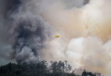 Incendios y emergencias químicas: ¿Por qué la tecnología puede marcar la diferencia entre riesgo y seguridad?