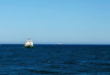 La alta mar tendrá nuevas reglas: entra en vigor tratado clave para proteger los océanos del planeta