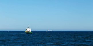 La alta mar tendrá nuevas reglas: entra en vigor tratado clave para proteger los océanos del planeta