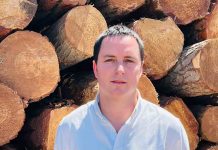 Ley de Incendios: Más allá de las sanciones