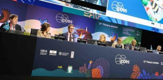 Ministerio del Medio Ambiente participa en acuerdo multilateral clave para alinear desarrollo económico y biodiversidad a nivel global
