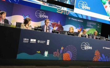 Ministerio del Medio Ambiente participa en acuerdo multilateral clave para alinear desarrollo económico y biodiversidad a nivel global Ministerio del Medio Ambiente participa en acuerdo multilateral clave para alinear desarrollo económico y biodiversidad a nivel global