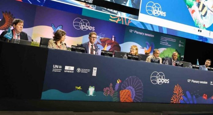 Ministerio del Medio Ambiente participa en acuerdo multilateral clave para alinear desarrollo económico y biodiversidad a nivel global Ministerio del Medio Ambiente participa en acuerdo multilateral clave para alinear desarrollo económico y biodiversidad a nivel global