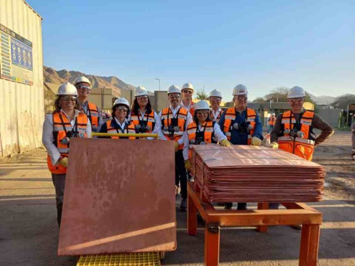 Ministra de Minería destaca resultados financieros positivos de ENAMI por segundo año consecutivo