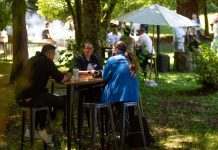 Presentan nuevo estudio y plataforma digital que mapean el potencial de innovación en la Región de Los Lagos.