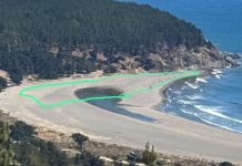 Puertecillo en tensión: comunidades manifiestan descontento ante eventual aprobación de caleta en zona clave para el surf y el turismo