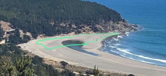Puertecillo en tensión: comunidades manifiestan descontento ante eventual aprobación de caleta en zona clave para el surf y el turismo