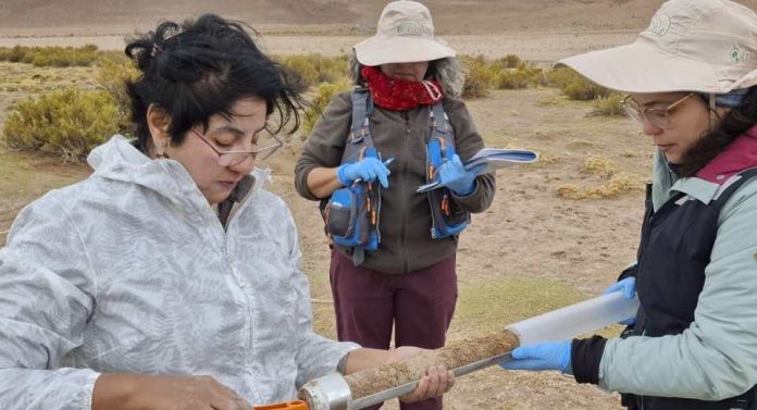 Salar del Huasco ciencia colaborativa en uno de los ecosistemas más extremos del altiplano