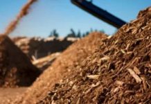 Un proyecto europeo busca transformar la biomasa infrautilizada en productos innovadores de alto valor