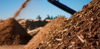 Un proyecto europeo busca transformar la biomasa infrautilizada en productos innovadores de alto valor