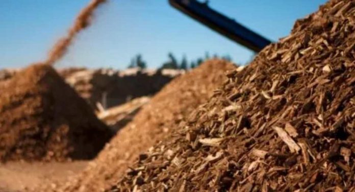 Un proyecto europeo busca transformar la biomasa infrautilizada en productos innovadores de alto valor