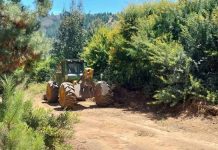 Vista Hermosa entrega apoyo en el combate del incendio que afecta más de 280 hectáreas en Vichuquén