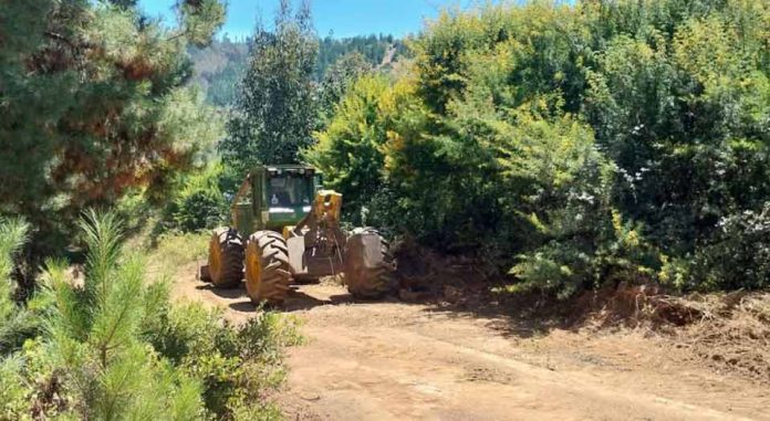 Vista Hermosa entrega apoyo en el combate del incendio que afecta más de 280 hectáreas en Vichuquén