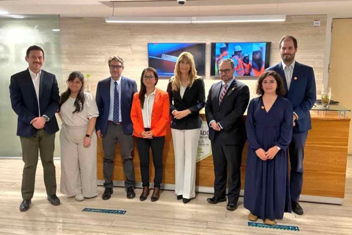 Asociación Chilena de Energía Solar y Almacenamiento: ACESOL se reúne con ministra de energía y acuerdan impulsar agenda conjunta de desarrollo de la energía solar en chile