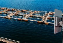 AquaSur 2026 Conectividad y seguridad industrial son puntos claves para la industria acuícola de hoy