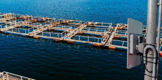 AquaSur 2026 Conectividad y seguridad industrial son puntos claves para la industria acuícola de hoy