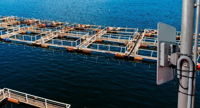 AquaSur 2026 Conectividad y seguridad industrial son puntos claves para la industria acuícola de hoy AquaSur 2026 Conectividad y seguridad industrial son puntos claves para la industria acuícola de hoy