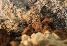 Australia | ABx aprovecha el impulso gubernamental en I+D para acelerar las ambiciones en tierras raras