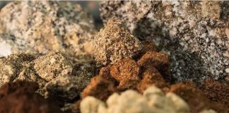 Australia | ABx aprovecha el impulso gubernamental en I+D para acelerar las ambiciones en tierras raras