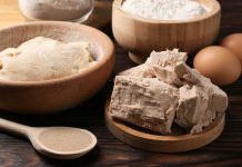 Chile estudia el potencial de hongos y levaduras para transformar la industria alimentaria